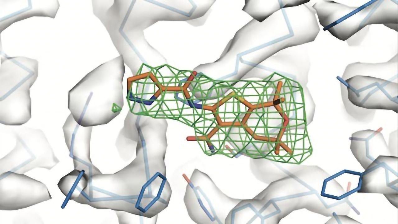 Hinge-like Protein Could Open Door to New Cystic Fibrosis Treatment