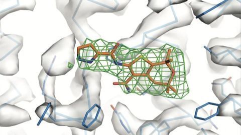 Hinge-like Protein Could Open Door to New Cystic Fibrosis Treatment
