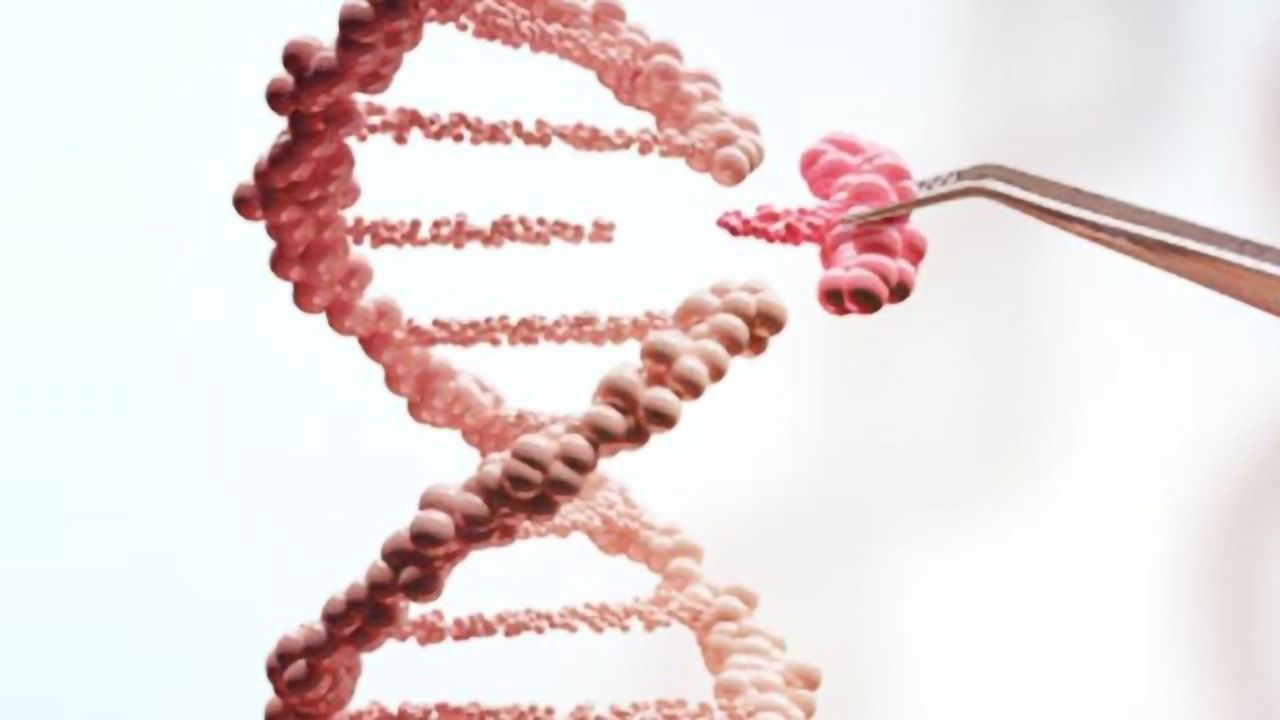 How CRISPR Lets Us Edit Our DNA