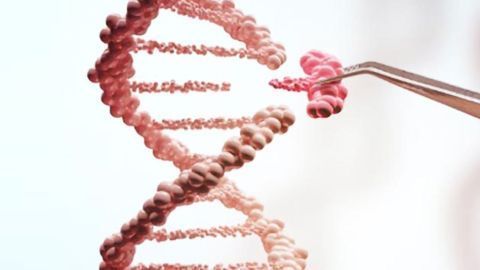 How CRISPR Lets Us Edit Our DNA
