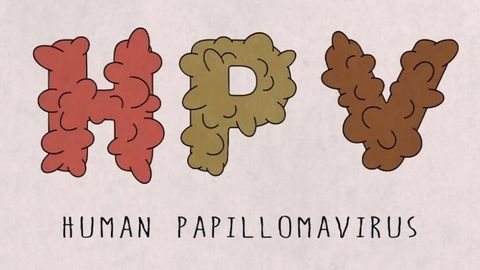 What Is HPV and How Can You Protect Yourself From It?