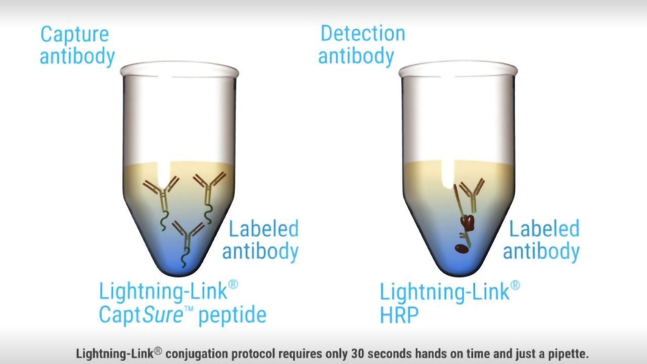 CaptSure™ DIY ELISA - Fastest ELISA Development Without Need for Plate Coating