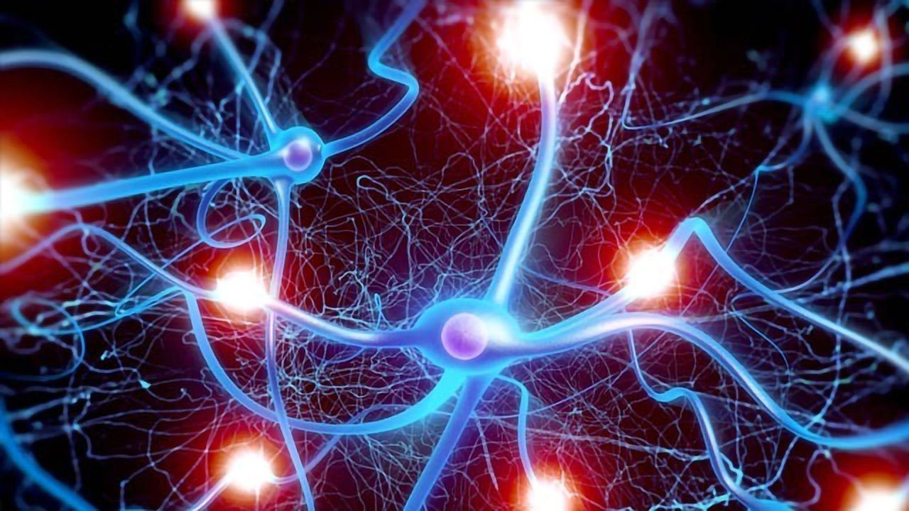 Popular Antidepressant Drug Rewires the Brain, in Mouse Model