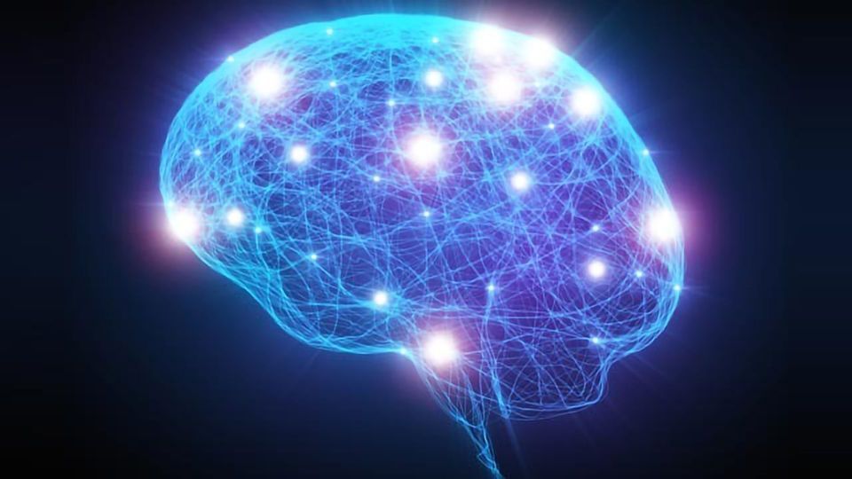 Blood Brain Barrier on a Chip content piece image