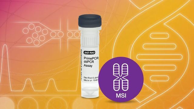 Bio-Rad Introduces Microsatellite Instability Assay for Colorectal Cancer content piece image 