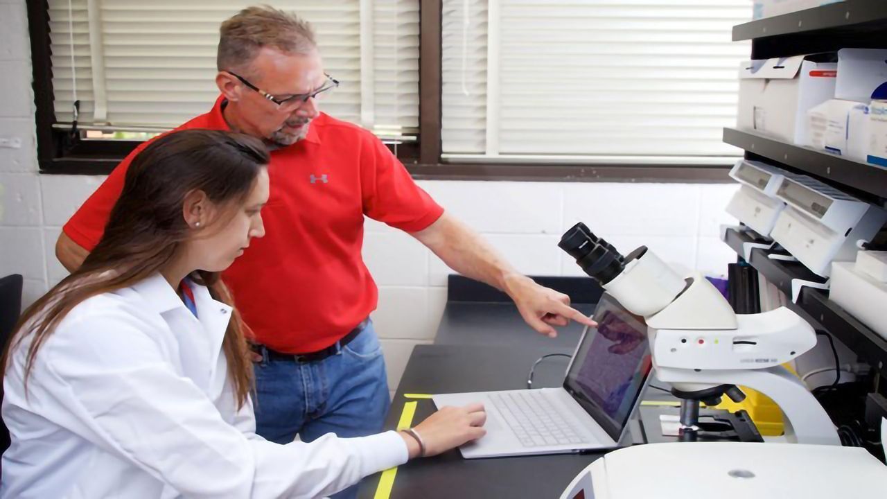 Metabolic Enzyme Tied to Obesity and Fatty Liver Disease