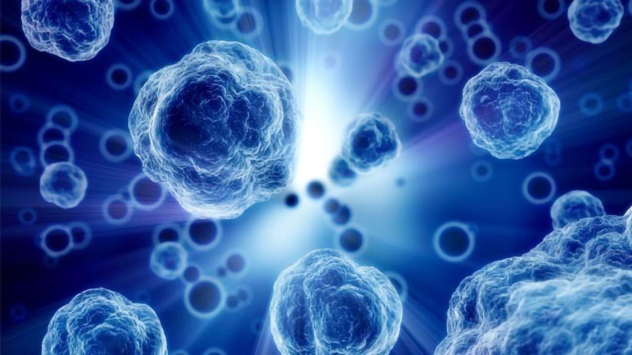 Cell Culture Evolution – A Revolution for Drug Discovery