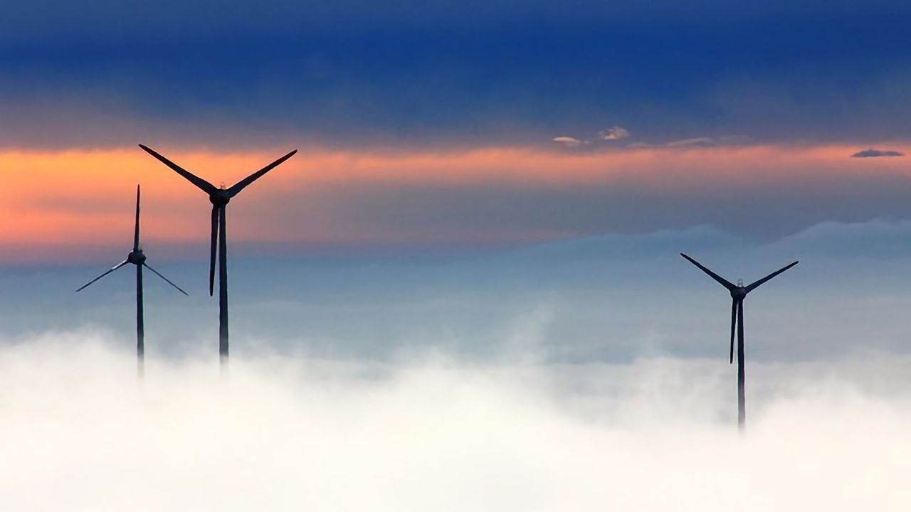 Drive for "Clean" Energy Comes at a Cost