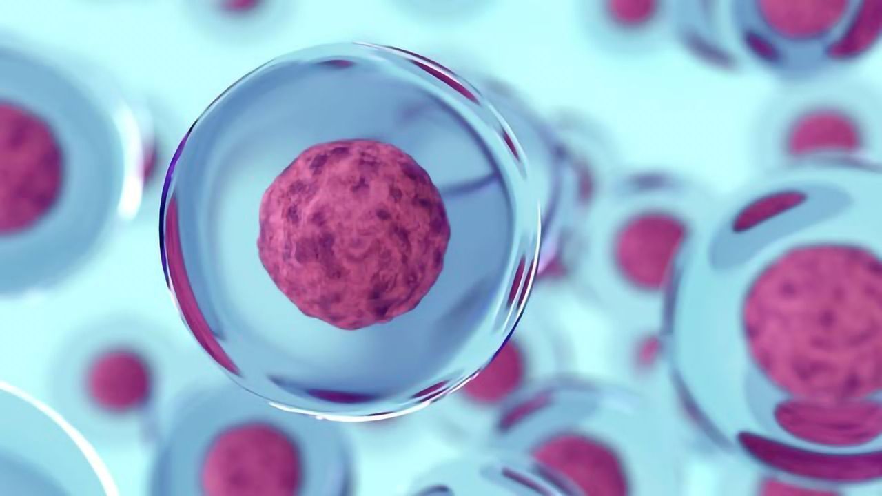 Screening Living Cells at High Speed