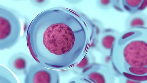Screening Living Cells at High Speed