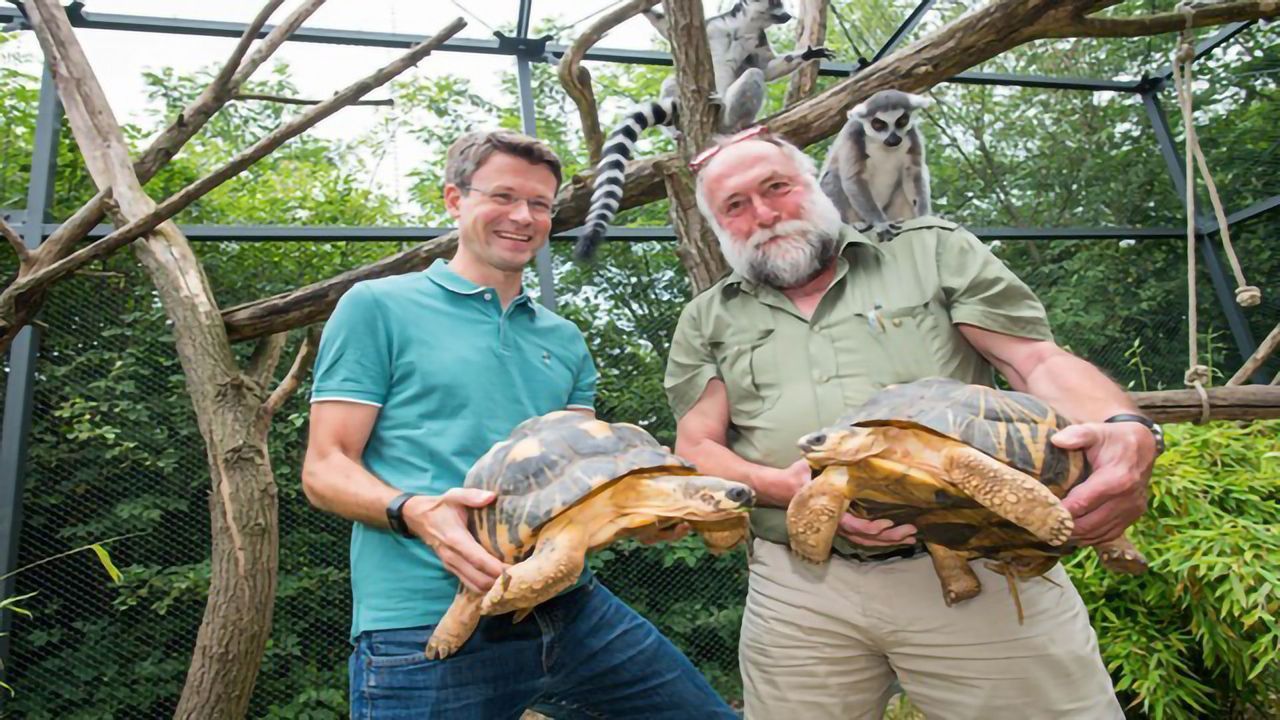 Disease Biomarker Identification: The Zoo Animals Doing Their Bit for Science