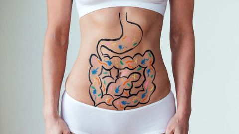Gut Infection Leads to Parkinson's-like Pathology in Mice