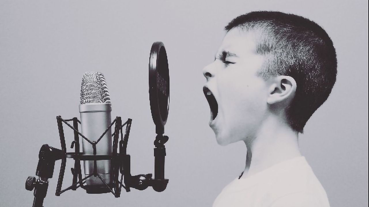 How the Brain Separates Voice and Sound