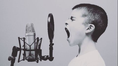 How the Brain Separates Voice and Sound