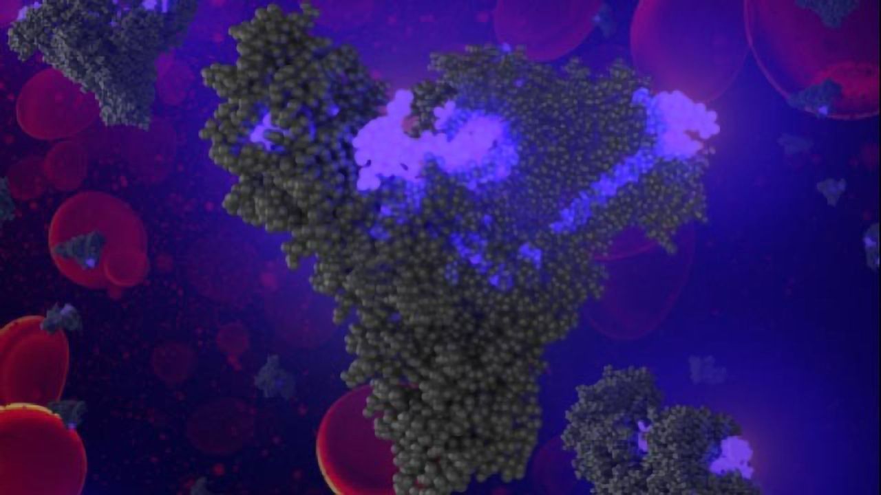 Anticancer Drug Disguises Itself As Fat