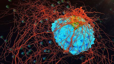 Aurora Supercomputer to Assist in the Fight Against Cancer