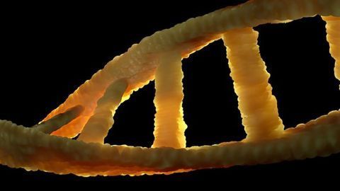 Genomenon Granted Patent on Genomic Search Engine