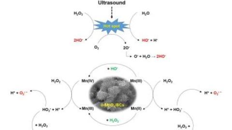 Removing Water Pollutants With Ultrasound and Eco-friendly Catalyst