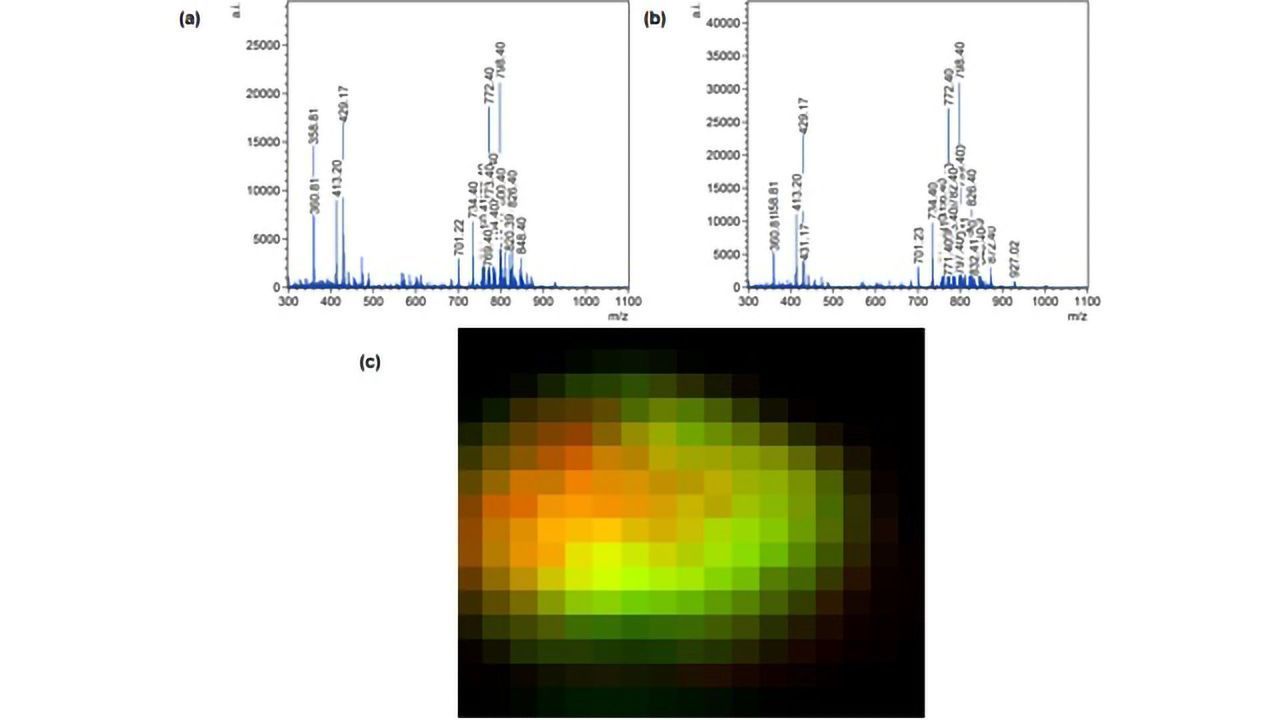 First Mass Spectrometry images Recorded Using the Matrix-assisted Ionisation in Vacuum Technique