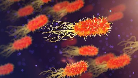 Toxin in Bacteria Hijacks and Modifies Human Proteins