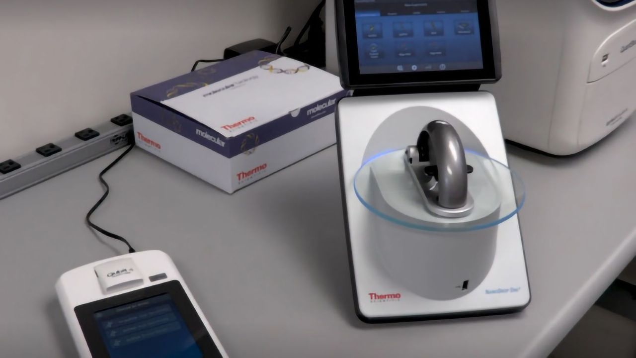 qPCR Template Qualification using the Thermo Scientific NanoDrop One UV-Vis Spectrophotometer and the Invitrogen Qubit 4 Fluorometer