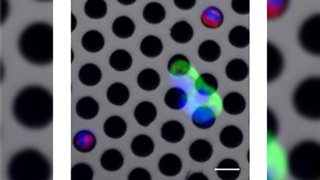 Revolutionizing the Treatment of Cancer With Lab-on-a-Chip content piece image 