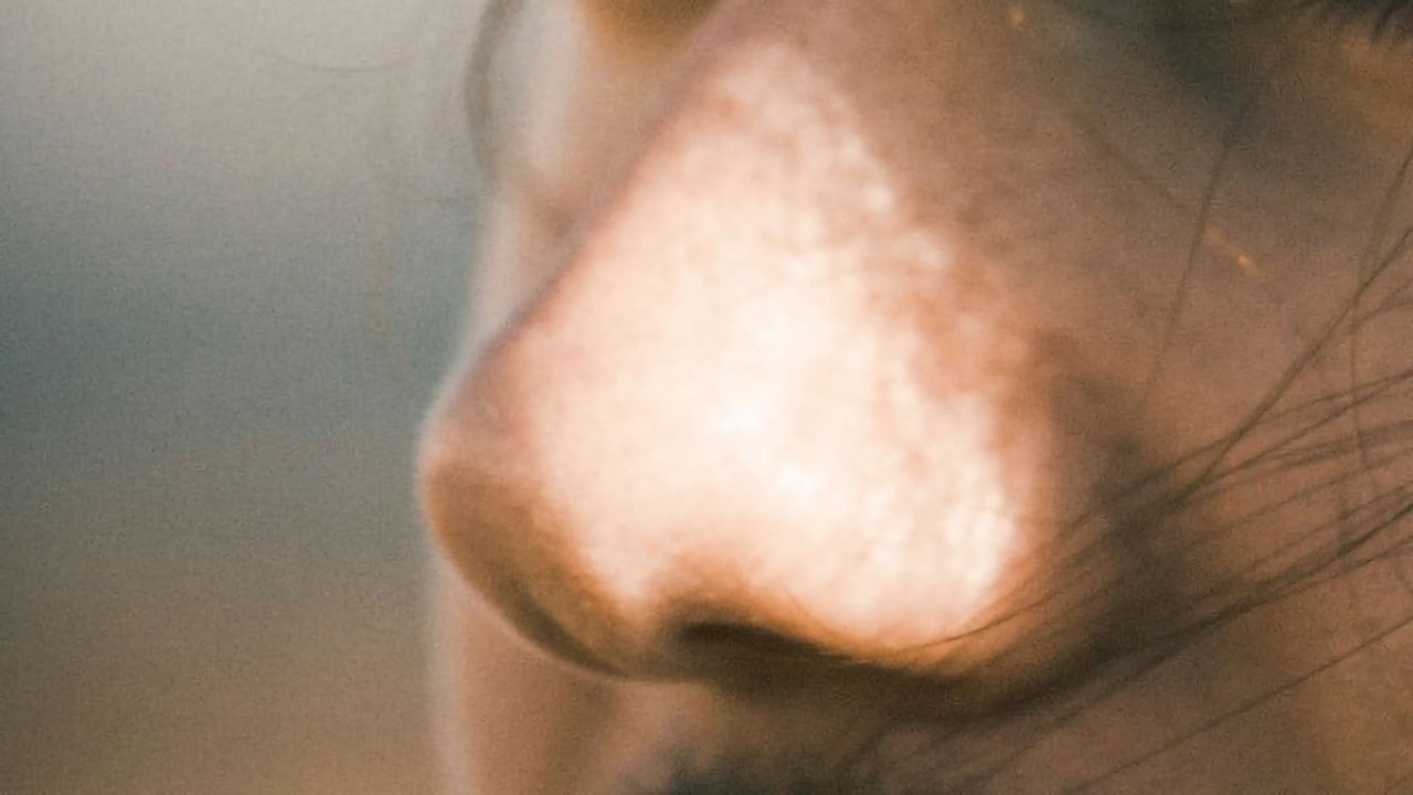 Hit Your Head, Lose Your Sense of Smell