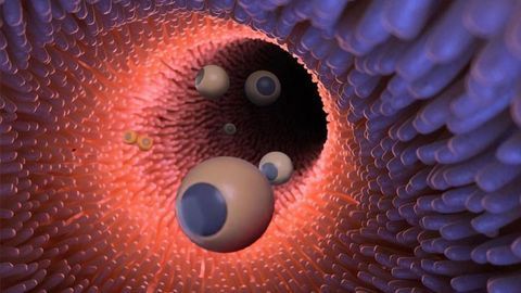 Targeting and Treating Tumors With Microrobots