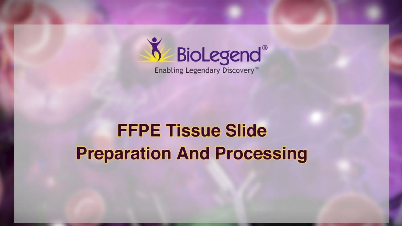 FFPE Tissue Slide Preparation and Processing