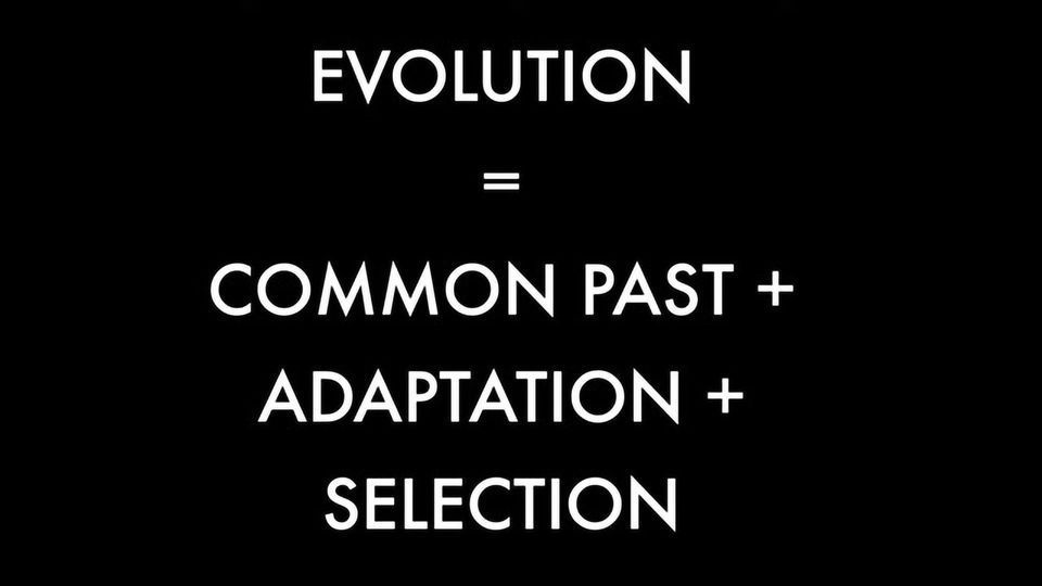 How CRISPR Lets Us Take the Next Step in Evolution | Max Plach | TEDx content piece image