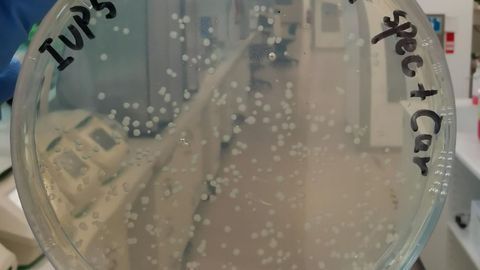 Microbial Manufacturing Accelerates Precision Agriculture