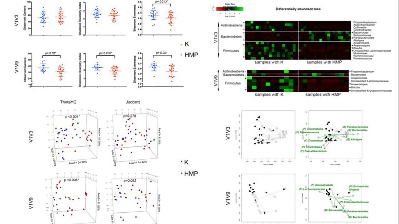 A More Accurate, Cheaper, Faster Microbiome Preparation Method: Application to Study the Microbiome in Cocaine Addiction