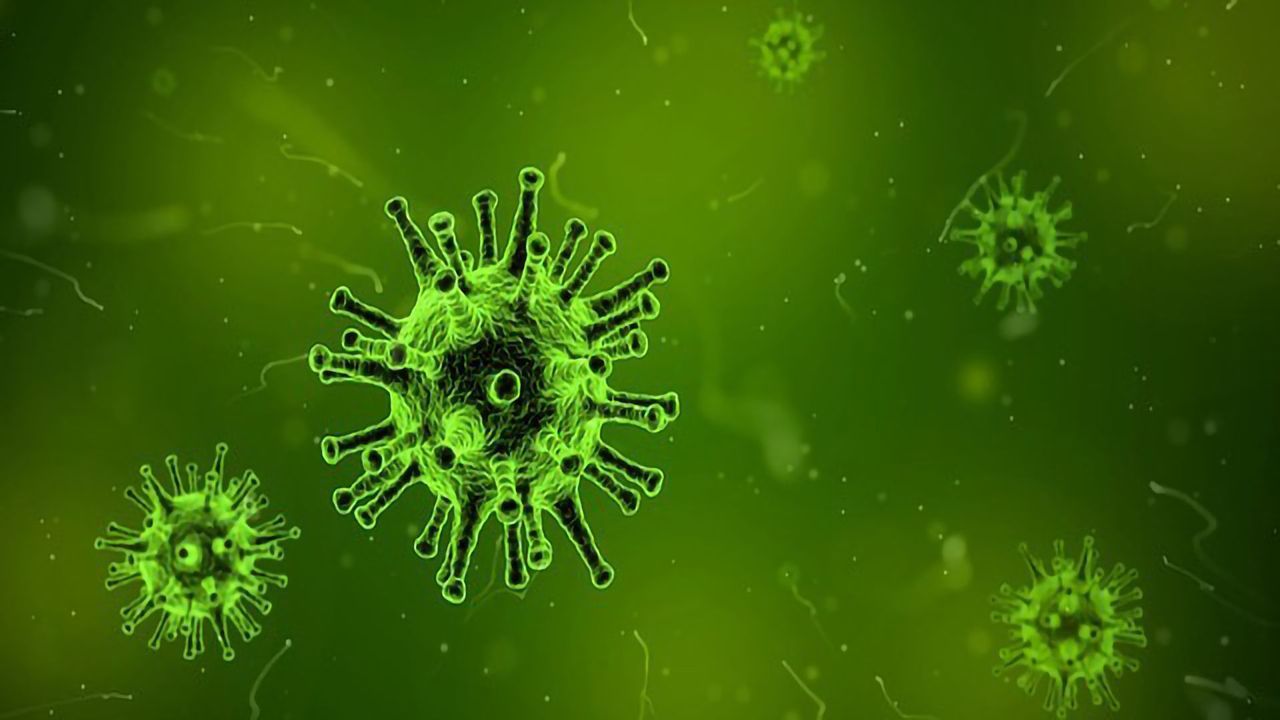 Genetic Screen Identified Genes That Protect Cells From Zika Viral Infection