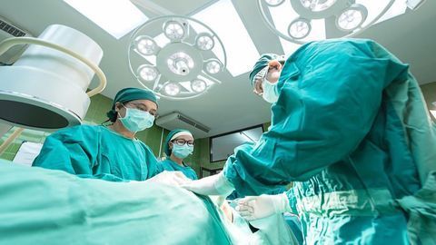 Discovery of New Liver Cell Could Mean Liver Transplants Become Redundant