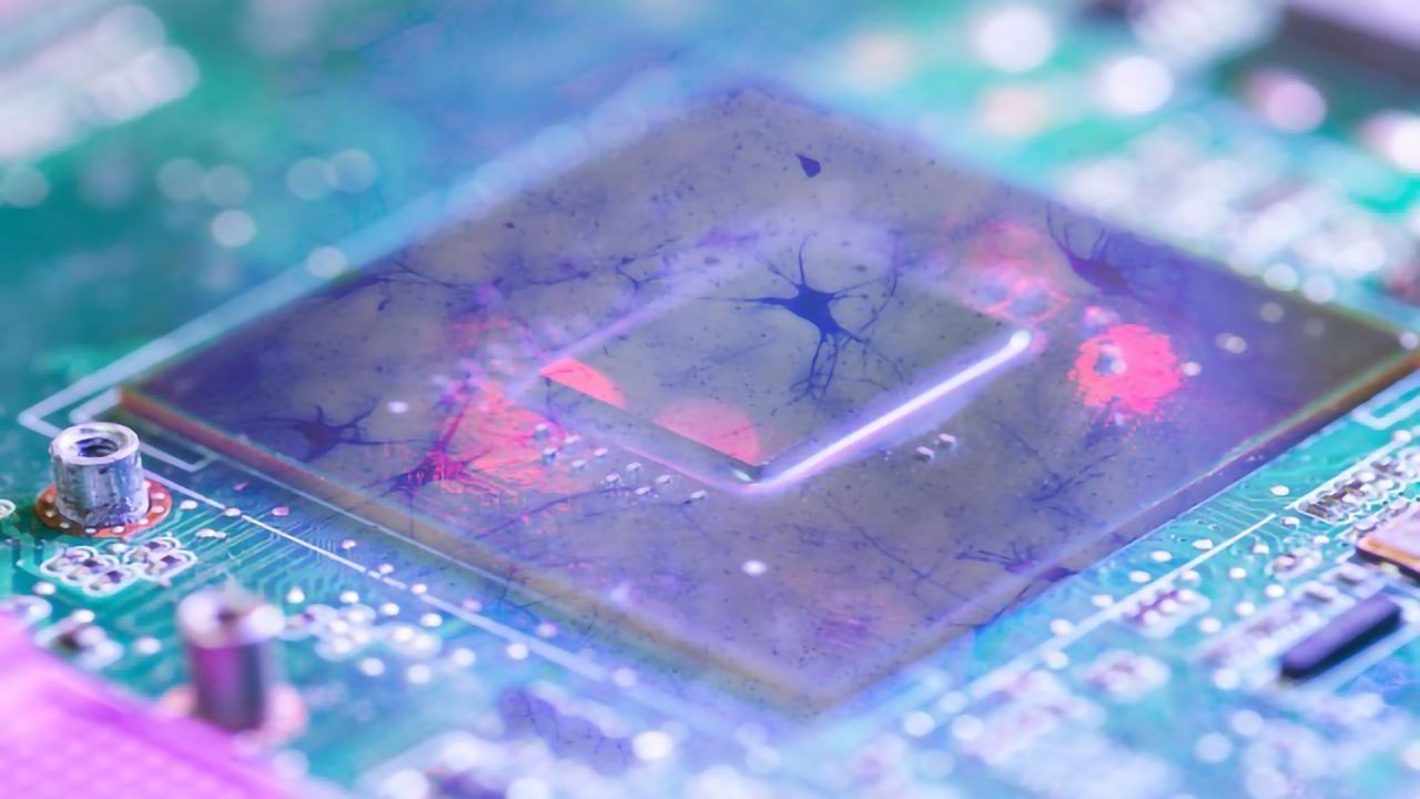How Far Can Organs-on-Chips Go On Their Own?