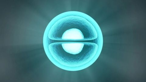 Artificial Protein Ushers In New Era of “Smart” Cell Therapies
