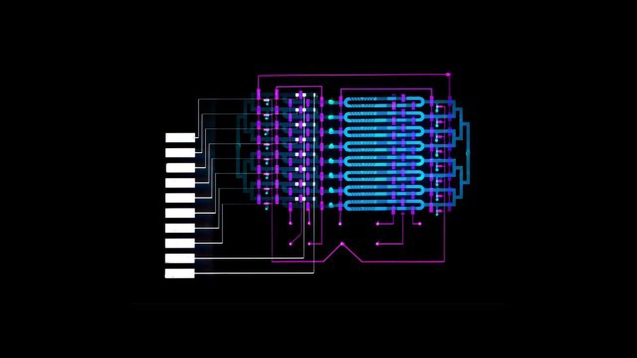 Microfluidics Device Could Diagnose Sepsis in Minutes