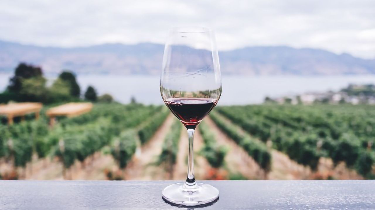 Red Wine Molecule Resveratrol Could Slash Stress (in Mice at Least)