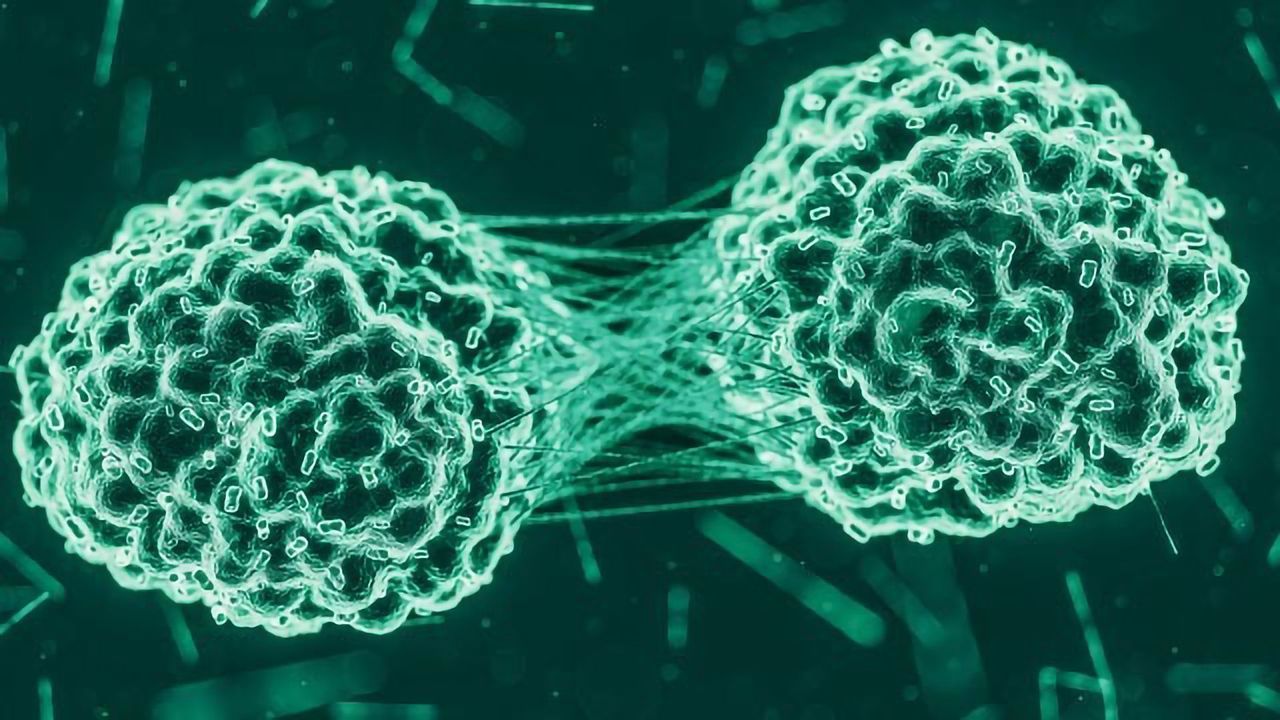 Incredible “HULLK” Controls Growth of Prostate Cancer