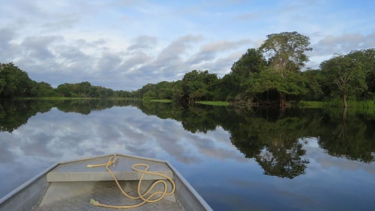 Amazon Rainforest Fertilized by African Smoke