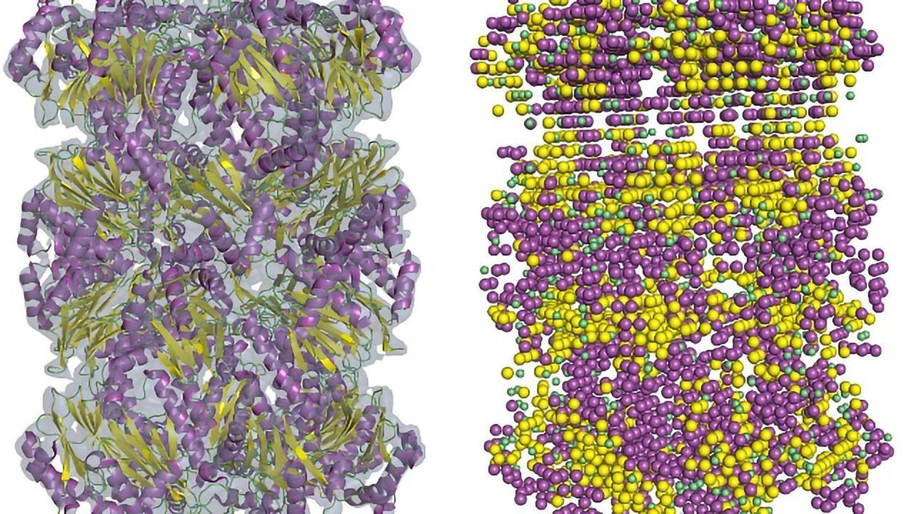 Low-res Cryo-EM Maps Brought up to Scratch With New Software