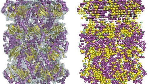 Low-res Cryo-EM Maps Brought up to Scratch With New Software