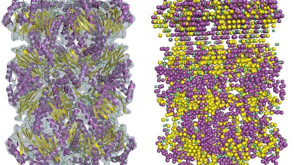 Low-res Cryo-EM Maps Brought up to Scratch With New Software content piece image