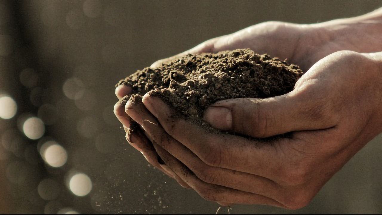 Anti-inflammatory Fat Found in Soil Bacterium