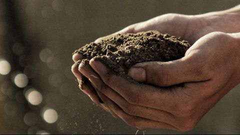 Anti-inflammatory Fat Found in Soil Bacterium