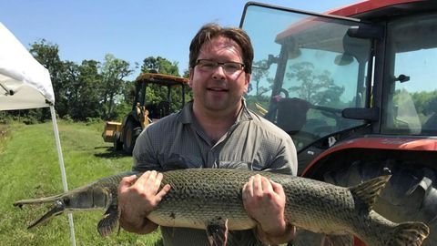 Fish Shed Light on Limb-regeneration Secrets