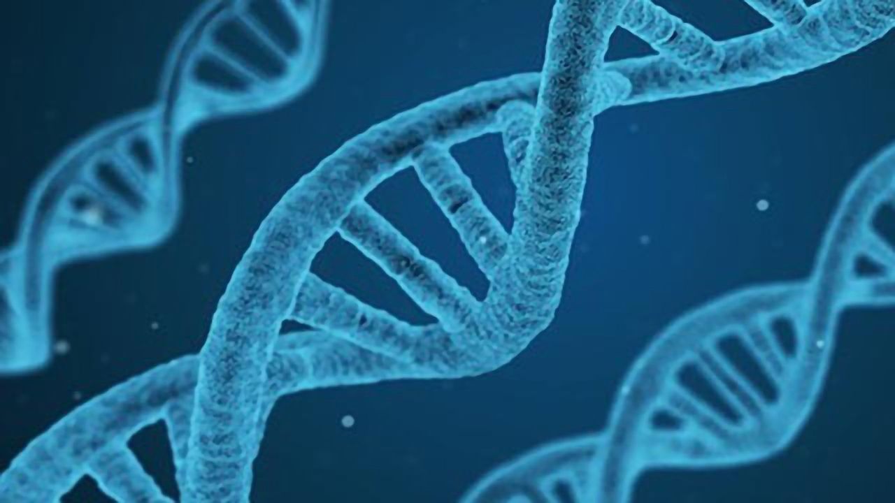 Analyzing p53 Mutations in 10,000 Cancer Patients