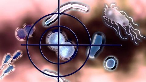Chemists Create Selective Agents to Combat Infectious Diseases