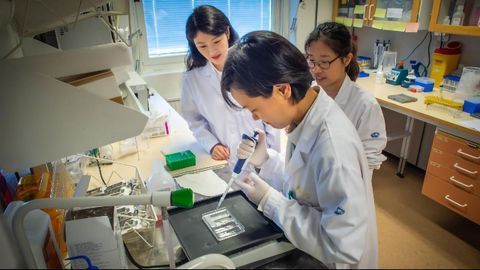 "Digital Twins" Could Be a Route to Personalized Medicine