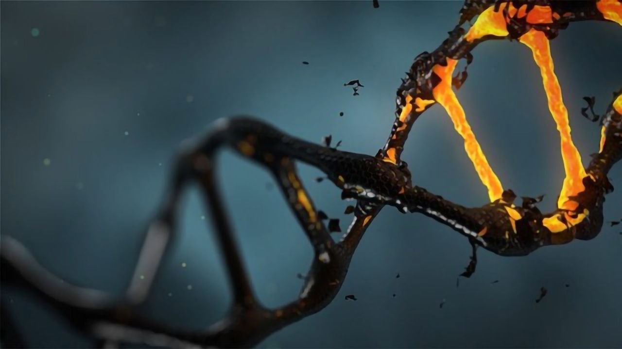 Viruses That Hid in Ancestor's DNA Are Waking Up